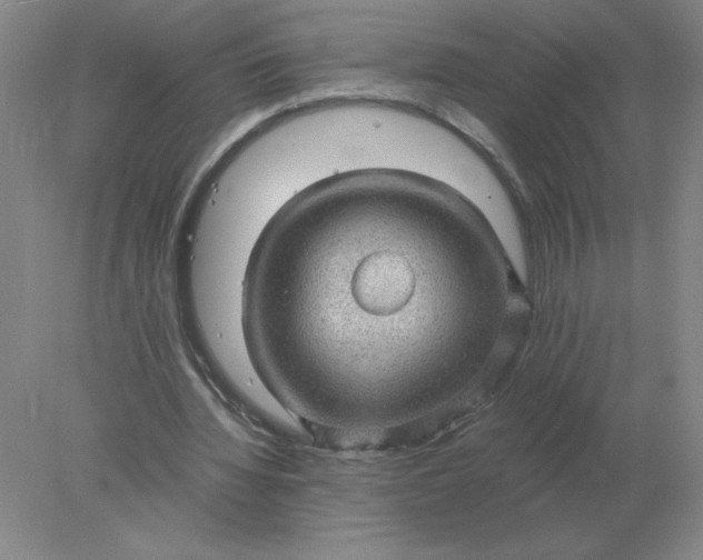 X0000078300436200611172152