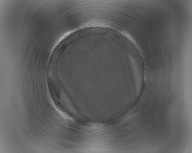 X0000078300438200611172152