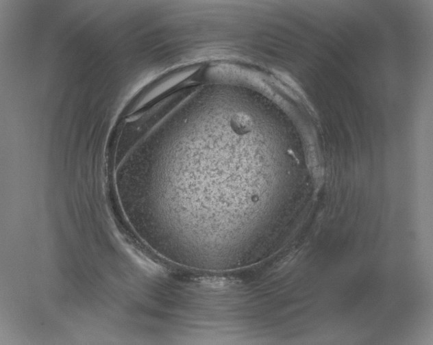 X0000078300439200611172152