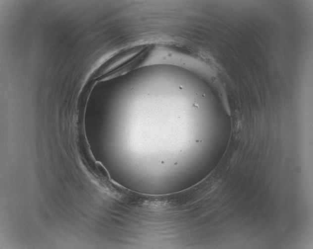 X0000078300440200611172152