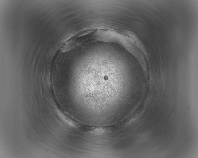 X0000078300441200611172152