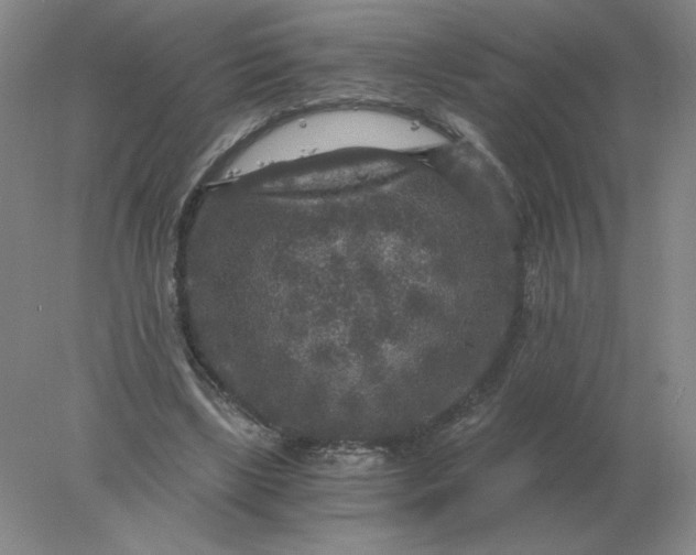 X0000078300443200611172152