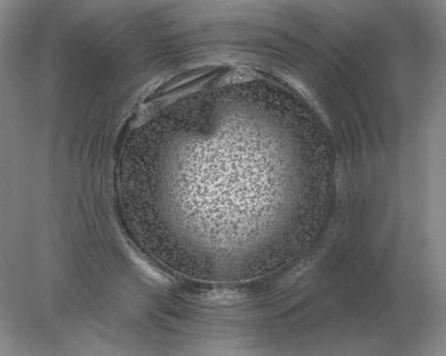 X0000078300445200611172152