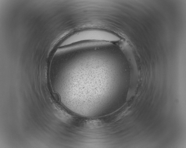 X0000078300446200611172152