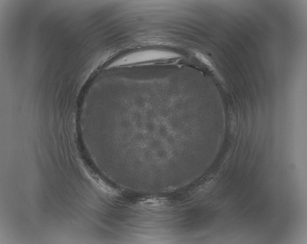 X0000078300447200611172152