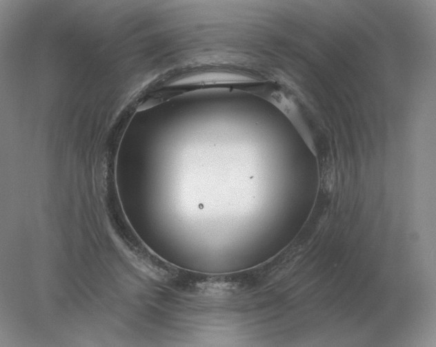 X0000078300448200611172152