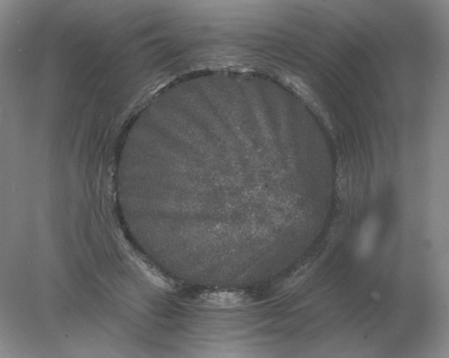 X0000078300449200611172152