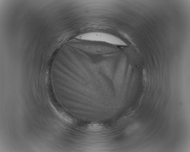 X0000078300451200611172152