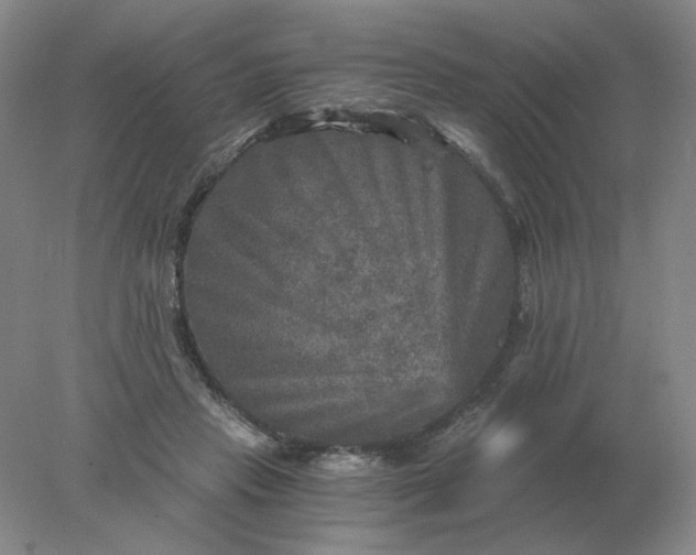 X0000078300453200611172152