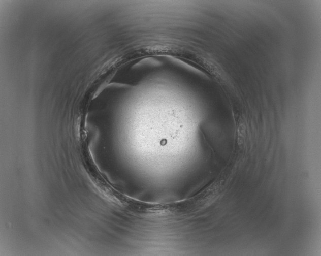 X0000078300454200611172152