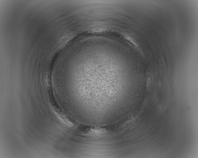 X0000078300455200611172152