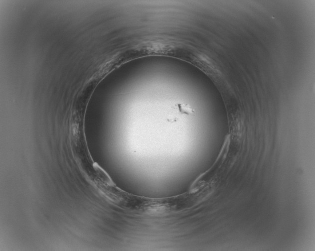 X0000078300456200611172152