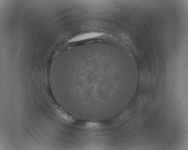 X0000078300457200611172152