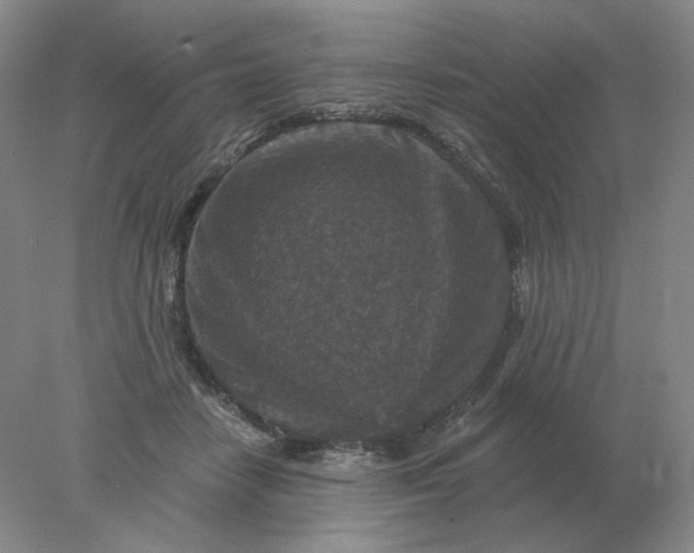 X0000078300458200611172152