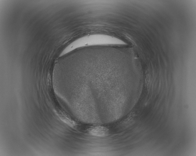 X0000078300459200611172152