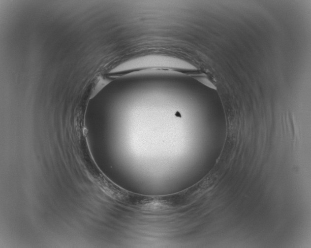 X0000078300460200611172153