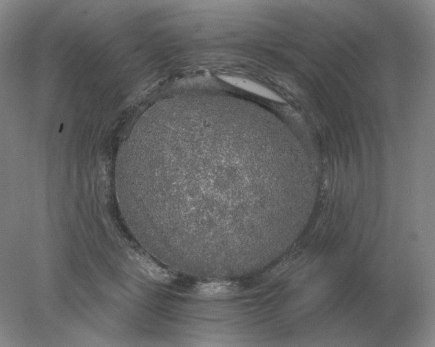 X0000078300461200611172153