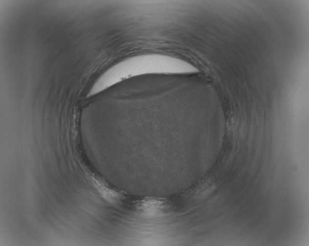 X0000078300462200611172153