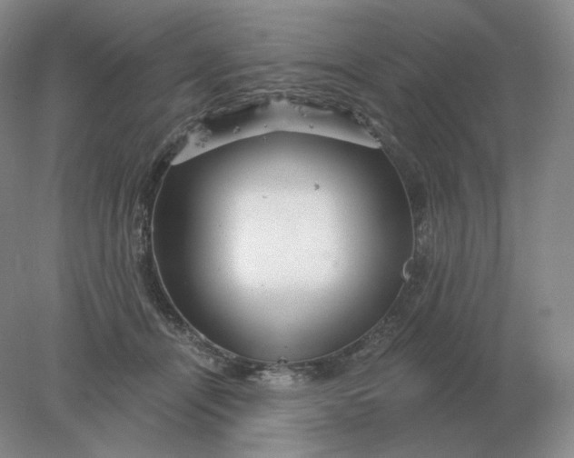 X0000078300464200611172153