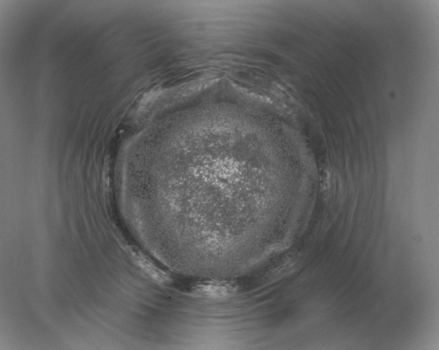 X0000078300466200611172153