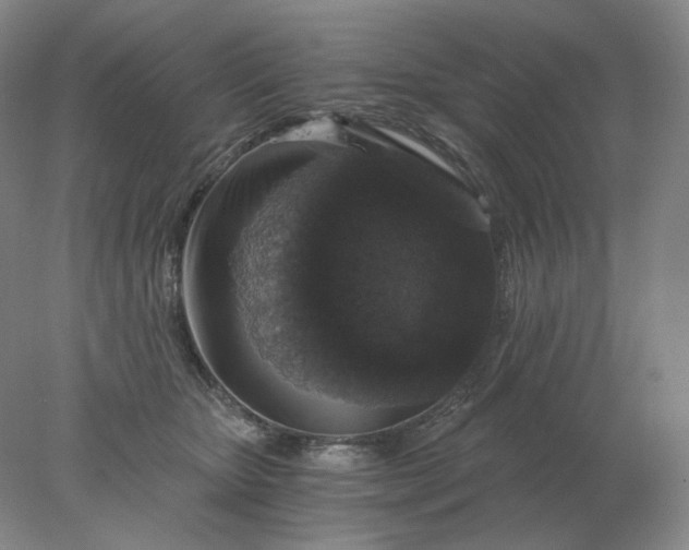 X0000078300467200611172153