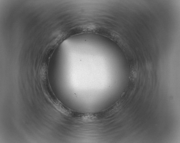 X0000078300468200611172153