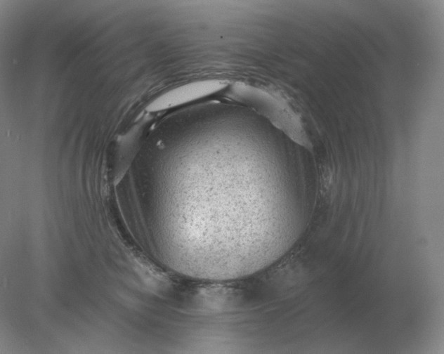 X0000078300470200611172153