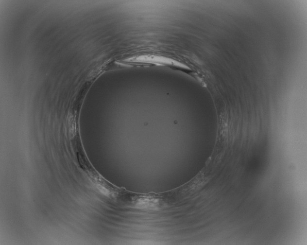 X0000078300471200611172153