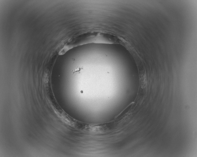 X0000078300472200611172153