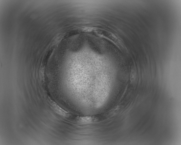 X0000078300473200611172153