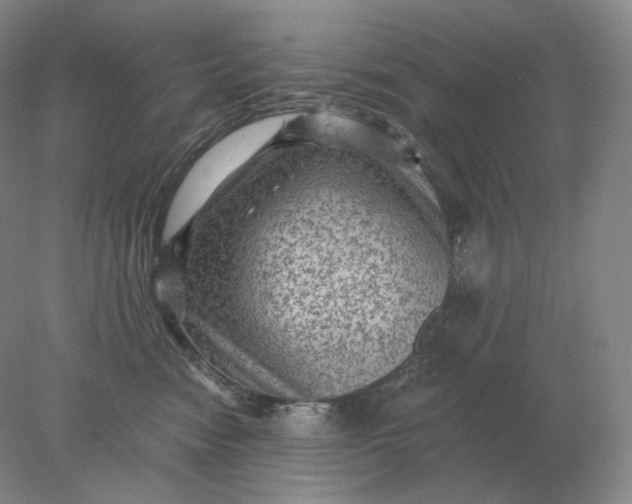 X0000078300474200611172153