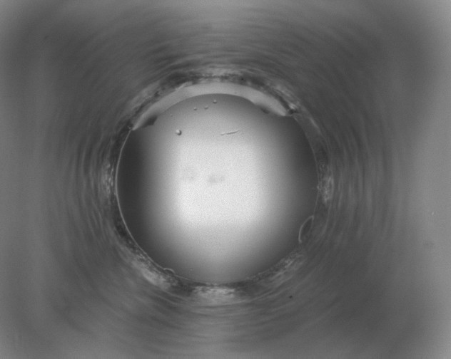 X0000078300476200611172153