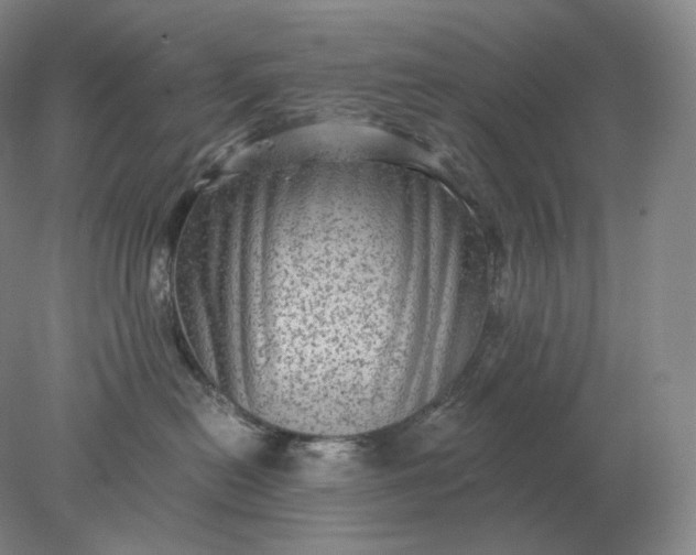 X0000078300478200611172153