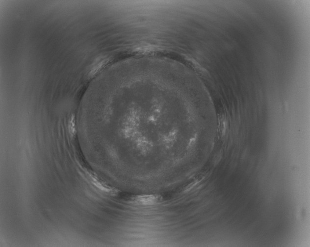 X0000078300479200611172153