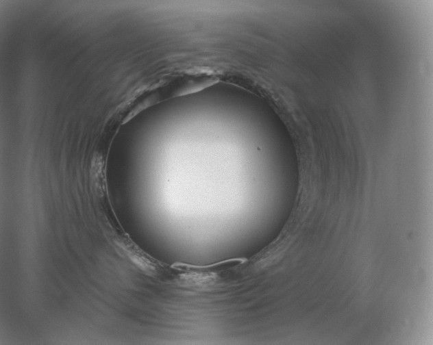 X0000078300480200611172153