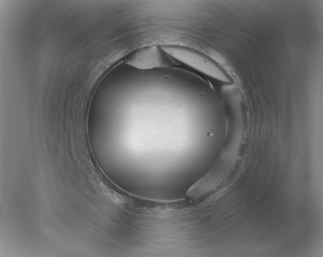 X0000078300481200611172152