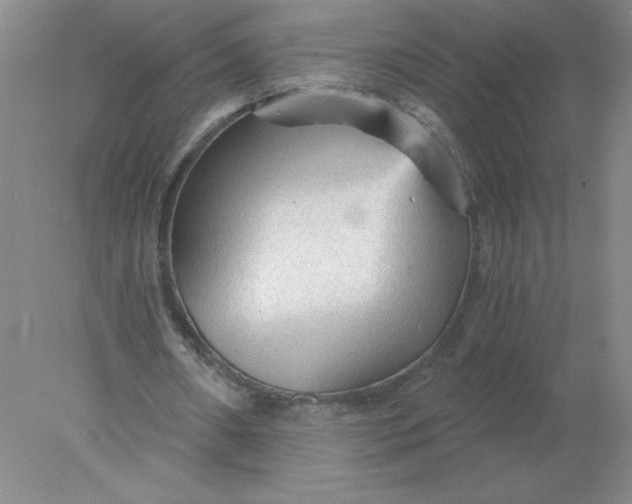 X0000078300482200611172152