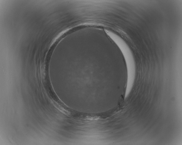 X0000078300484200611172152