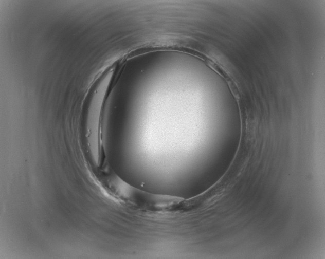 X0000078300485200611172152