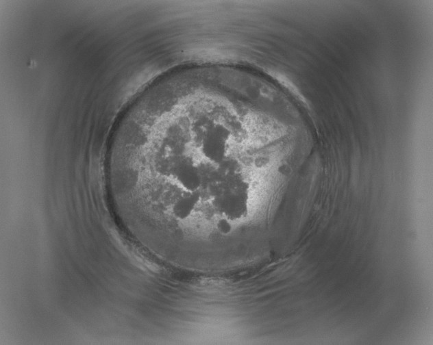 X0000078300487200611172152