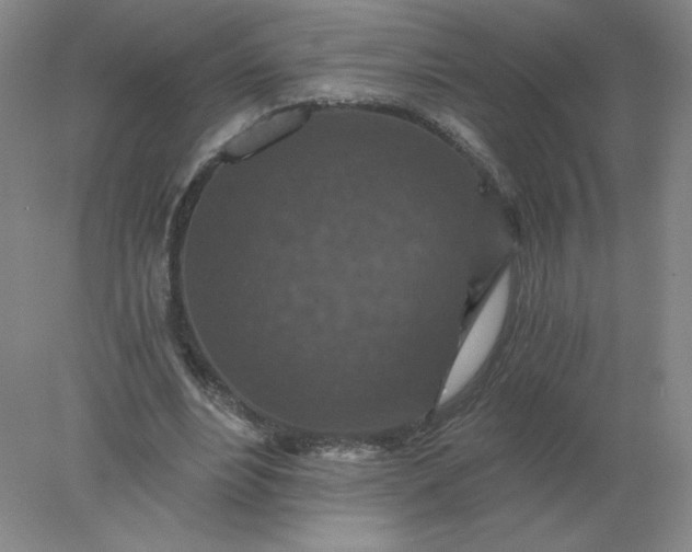 X0000078300488200611172152