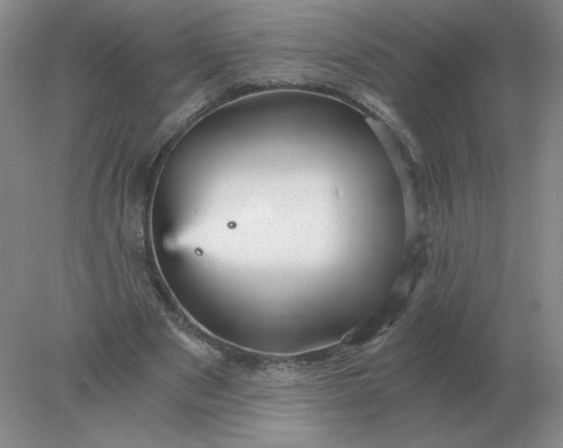 X0000078300489200611172152