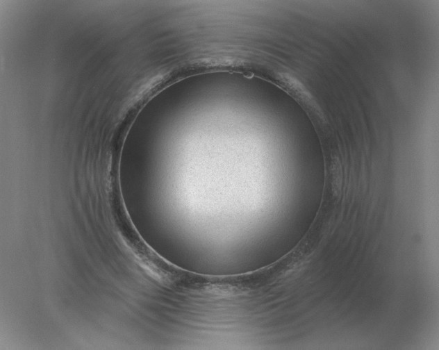 X0000078300490200611172152