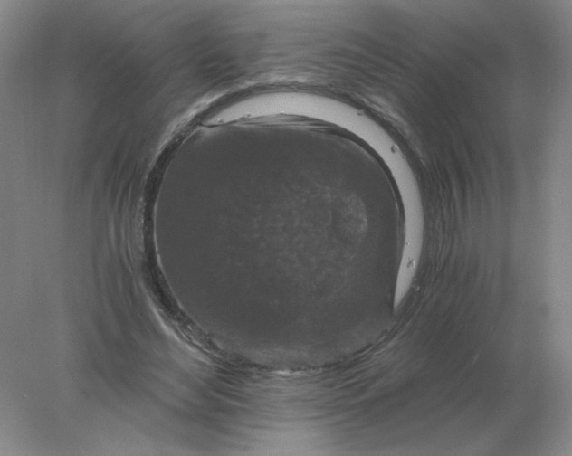 X0000078300492200611172152