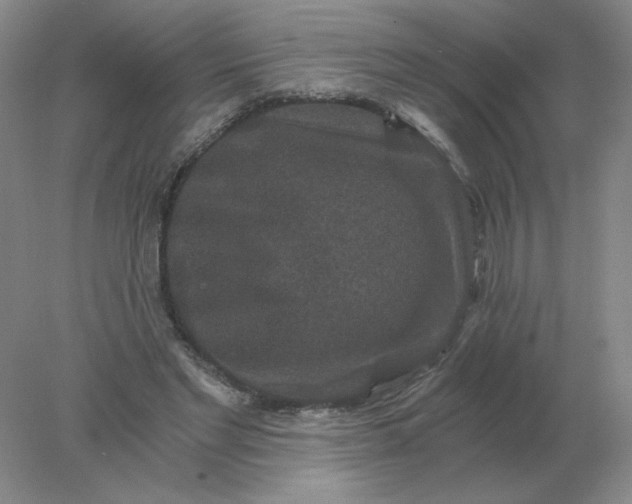 X0000078300493200611172152