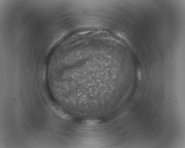 X0000078300495200611172152