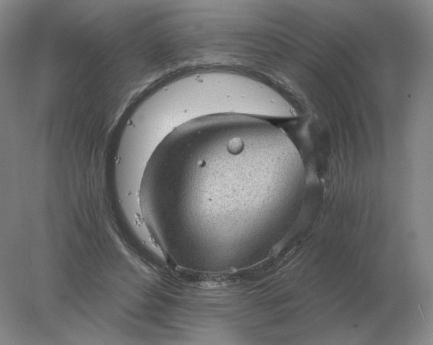 X0000078300496200611172152