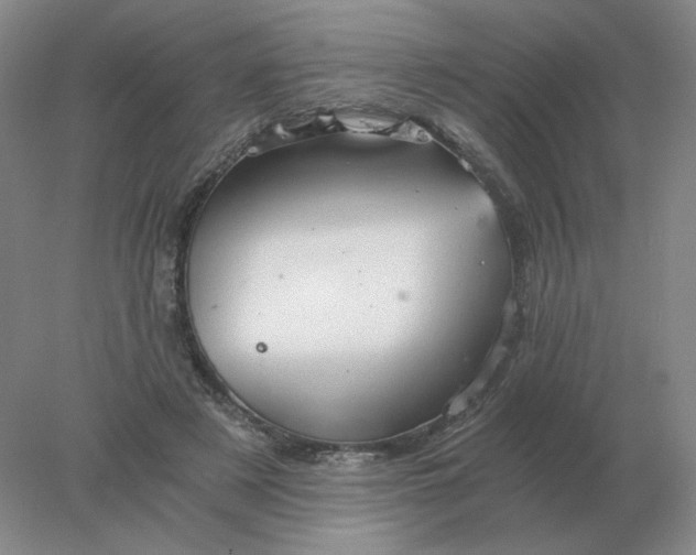 X0000078300497200611172152