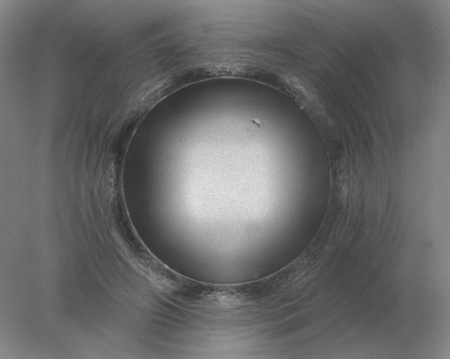 X0000078300498200611172152