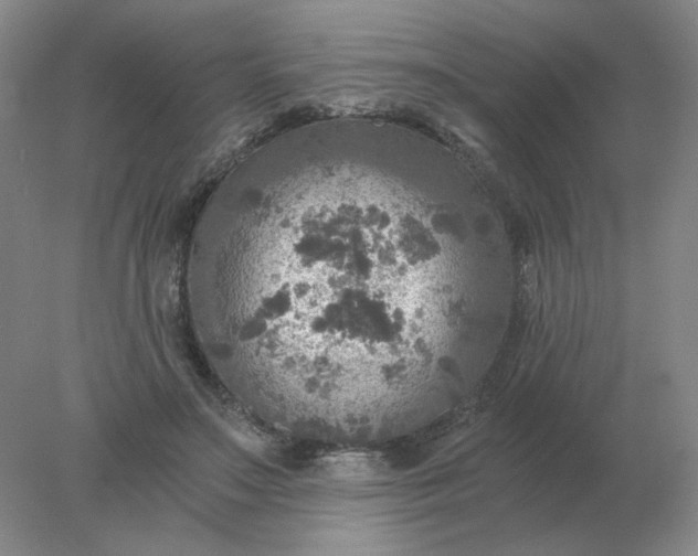 X0000078300499200611172152